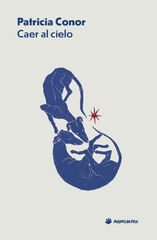 Caer al cielo