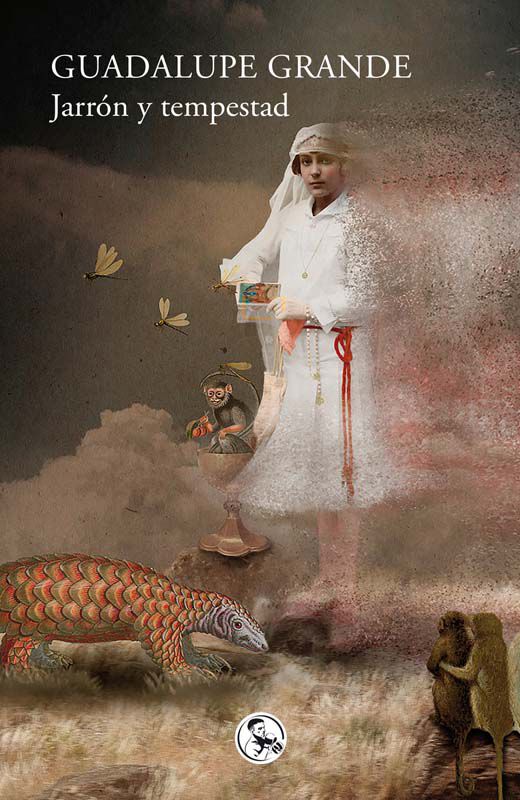 Jarr&oacute;n y tempestad