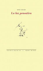 La luz pensativa