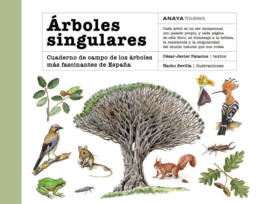 &Aacute;rboles singulares