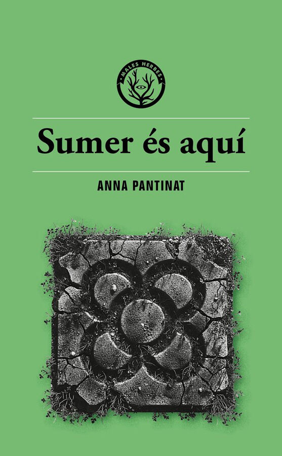 Sumer &eacute;s aqu&iacute;