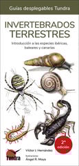 Invertebrados terrestres Invertebrados terrestres
