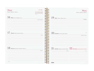 Agenda Finocam Design Collection E10 sem/vista horizontal cat 2026 Goldy