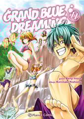 Grand Blue Dreaming nº 11