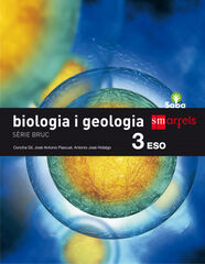 Biologia i geologia/15 ESO 3 SM Valenci&agrave; 9788467578676