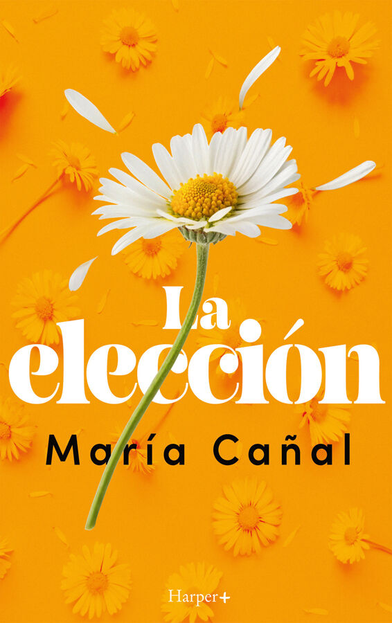 La elecci&oacute;n