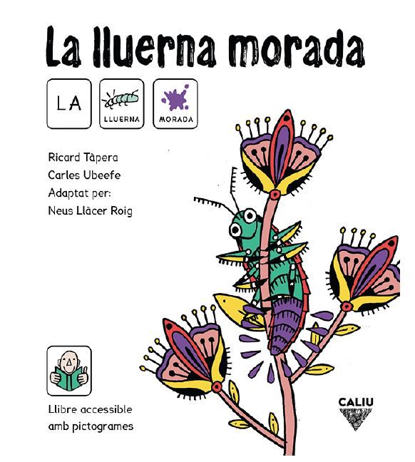 La lluerna morada