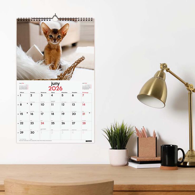 Calendario pared Finocam espiral 25x40 2026 Gatitos catalán