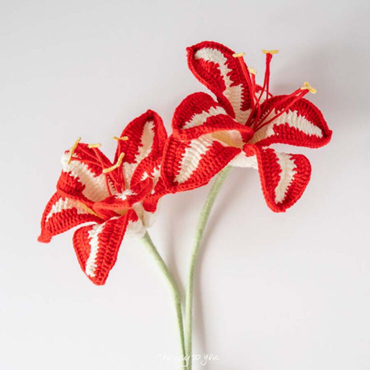 Flor de Ganxet Amaril&middot;lis rojo
