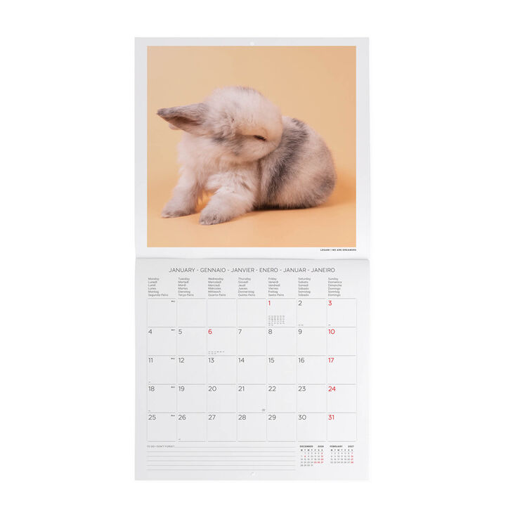 Calendario Legami 30x29 Pared Honey Bunny Multiling&uuml;e 2027