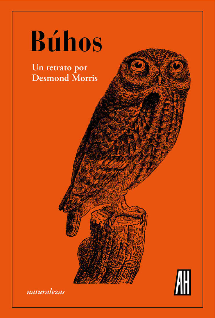 Búhos Búhos