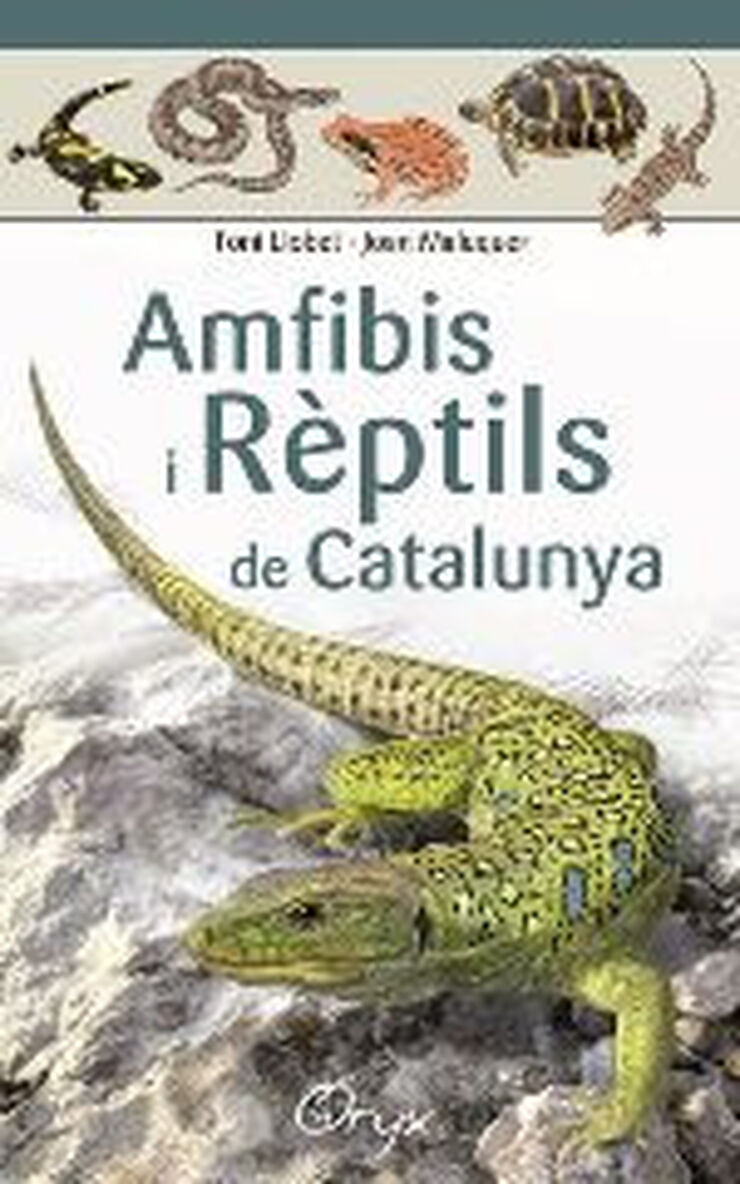 Amfibis i rèptils de Catalunya i illes Balears