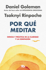 Por qué meditar Por qué meditar