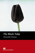 Beg Black Tulip