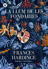 La llum de les fondàries La llum de les fondàries