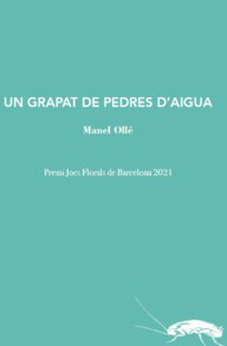 Un grapat de pedres d'aigua