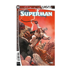 Estado Futuro: Superman Estado Futuro: Superman