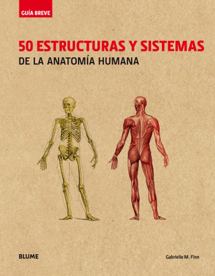 Guía Breve. 50 estructuras y sistemas de