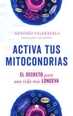 Activa tus mitocondrias