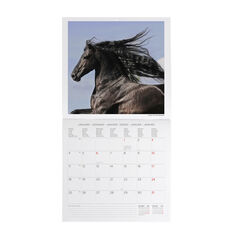 Calendario Legami 30x29 Pared Horses Multiling&uuml;e 2027