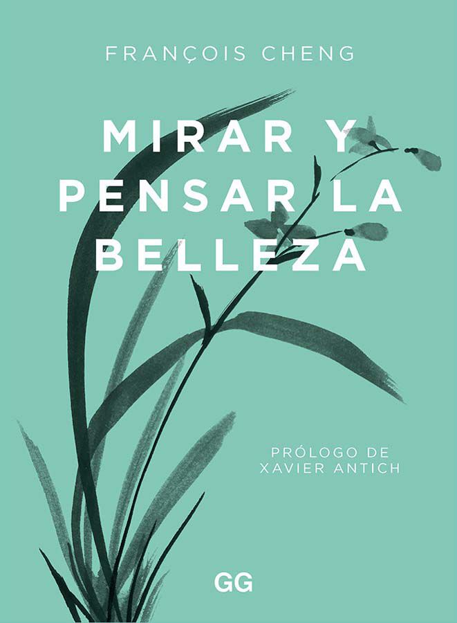 Mirar y pensar la belleza
