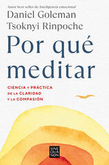 Por qué meditar Por qué meditar