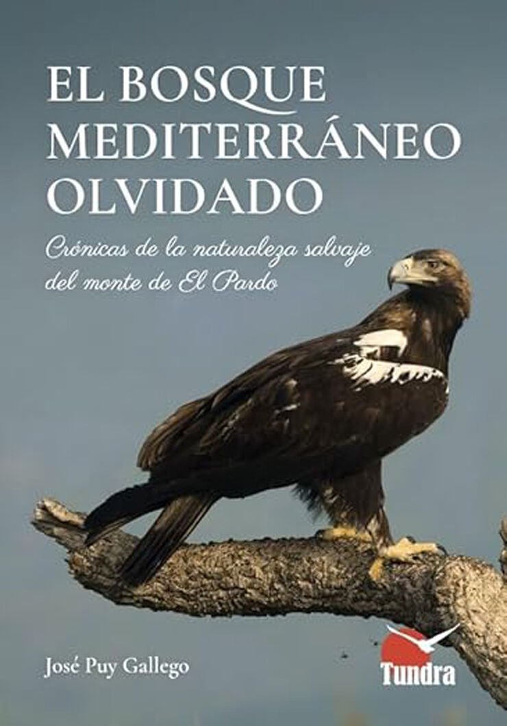 El bosque mediteráneo olvidado