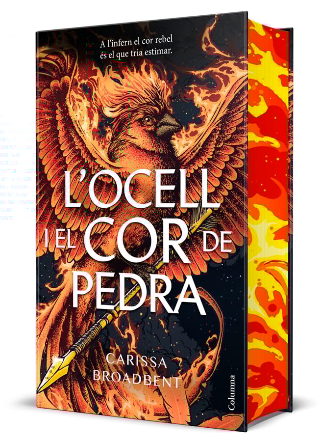 L'ocell i el cor de pedra