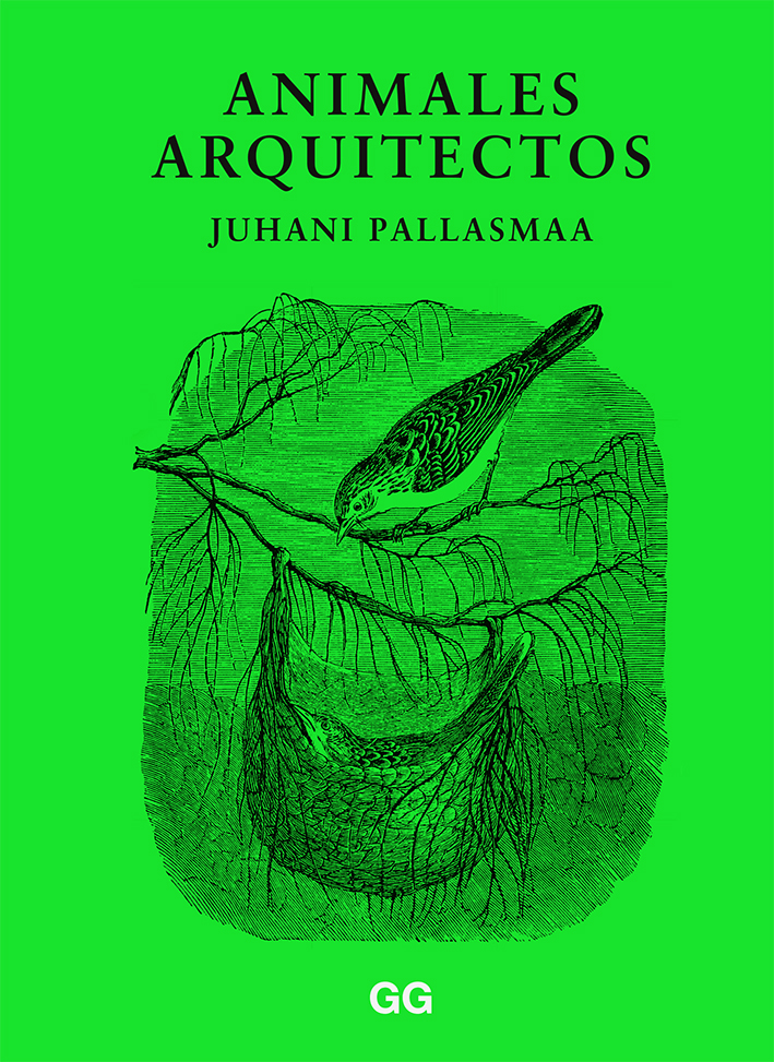 animales arquitectos