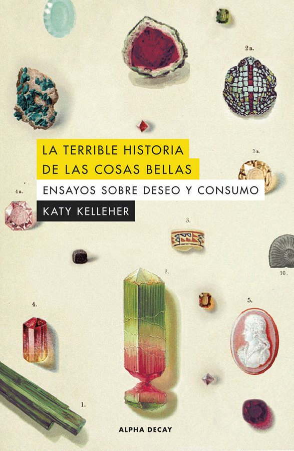 la terrible historia de las cosas bellas