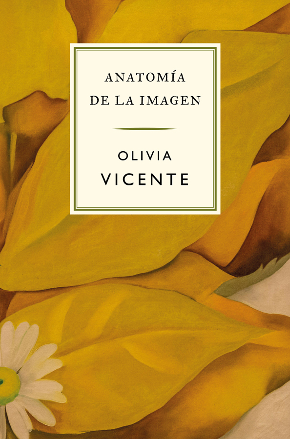 anatomia de la imagen