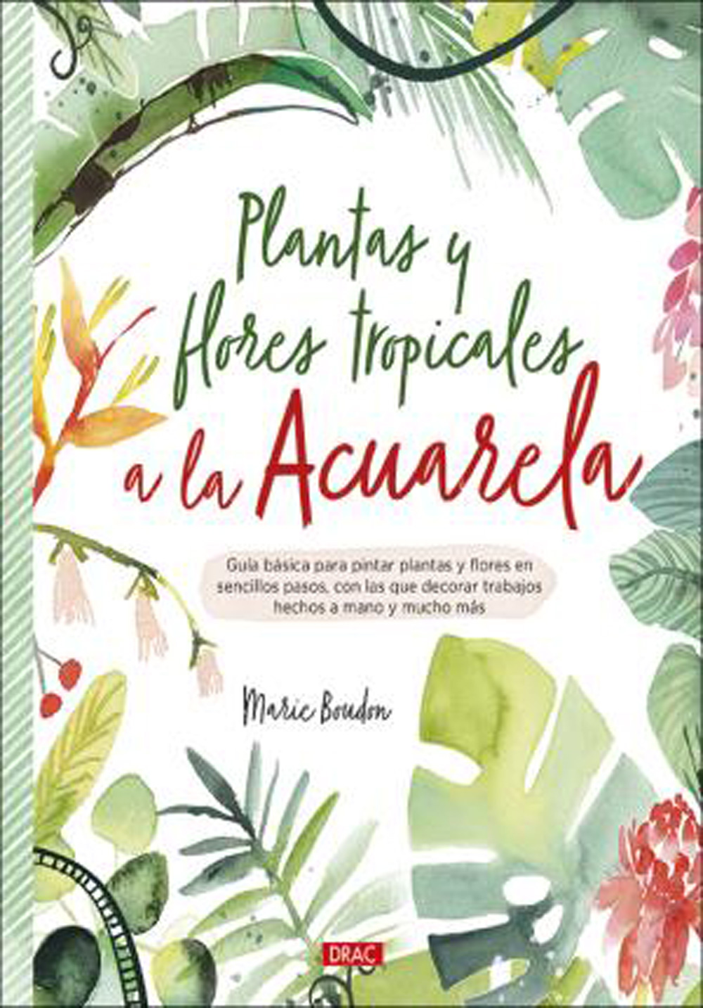 plantas y flores tropicales a la acuarela