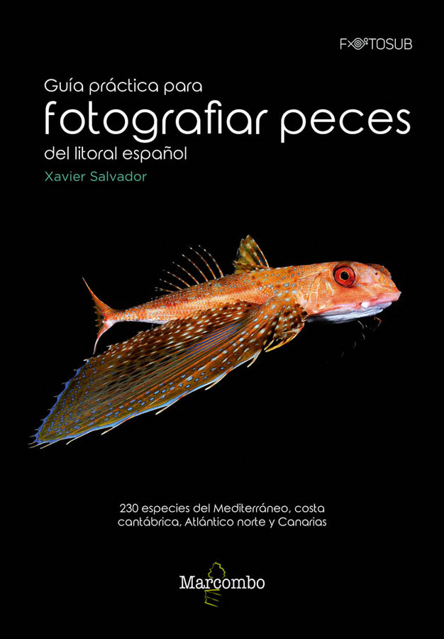 guia practica para fotografias peces del litoral espanol