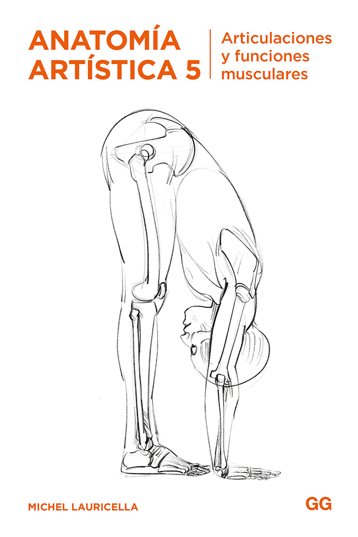 anatomia artistica 5