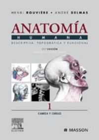 Anatomía Humana I. Descriptiva, Topográf