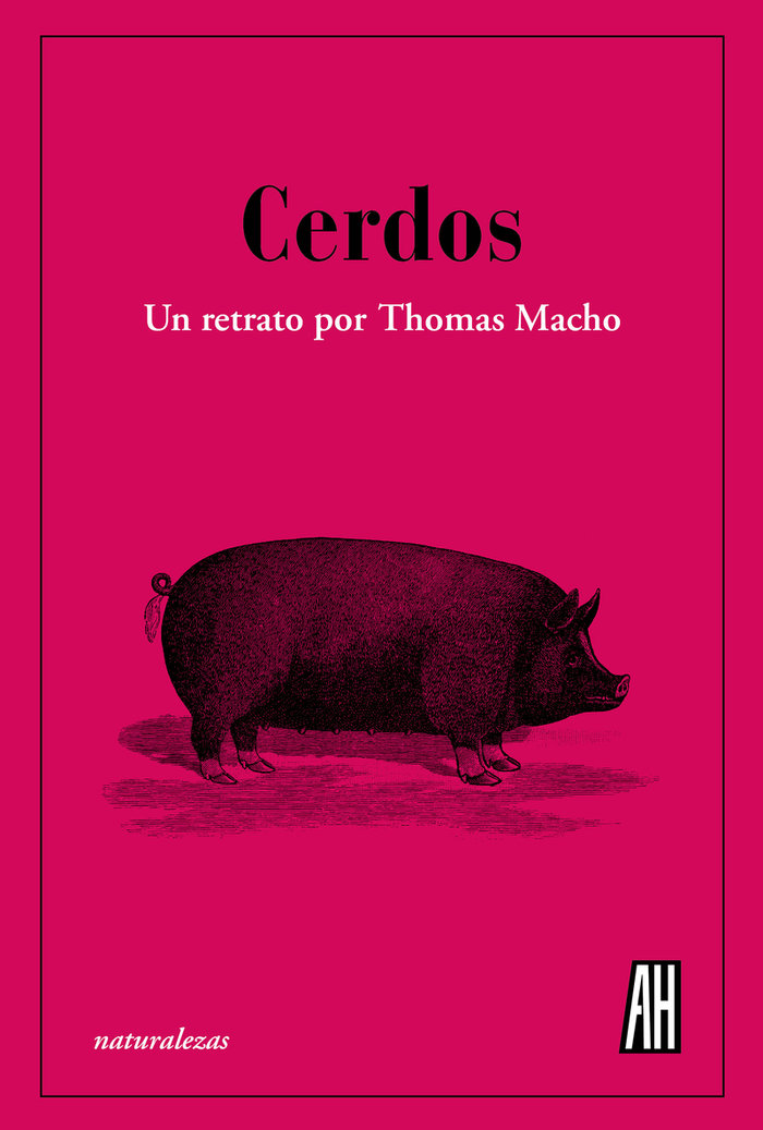 cerdos