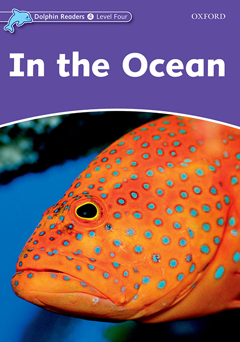 in the ocean dolphin readers 4