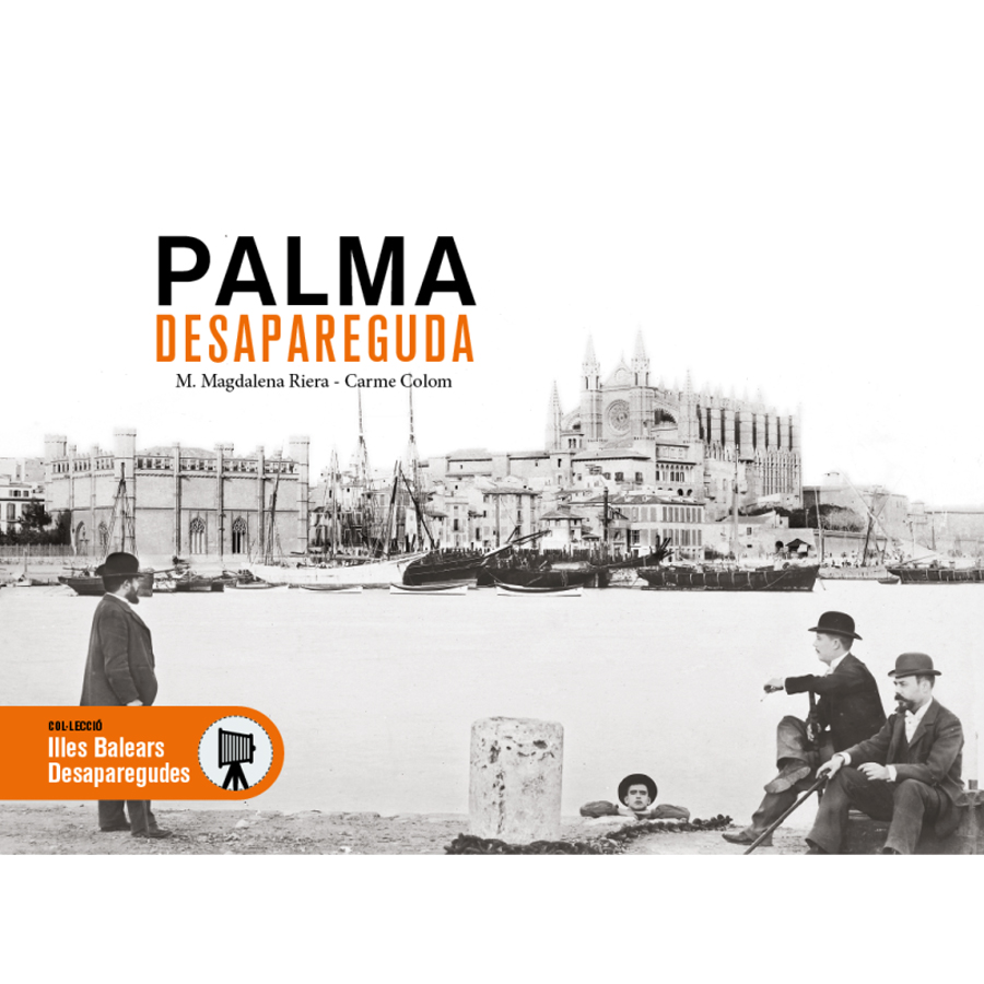palma desapareguda
