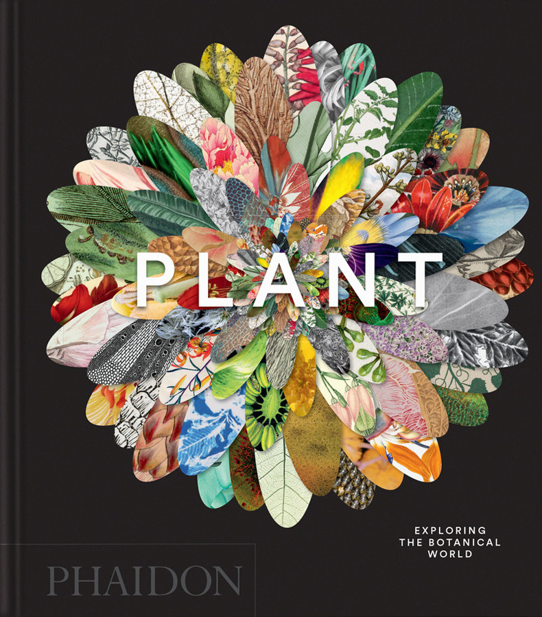 plant compact edition