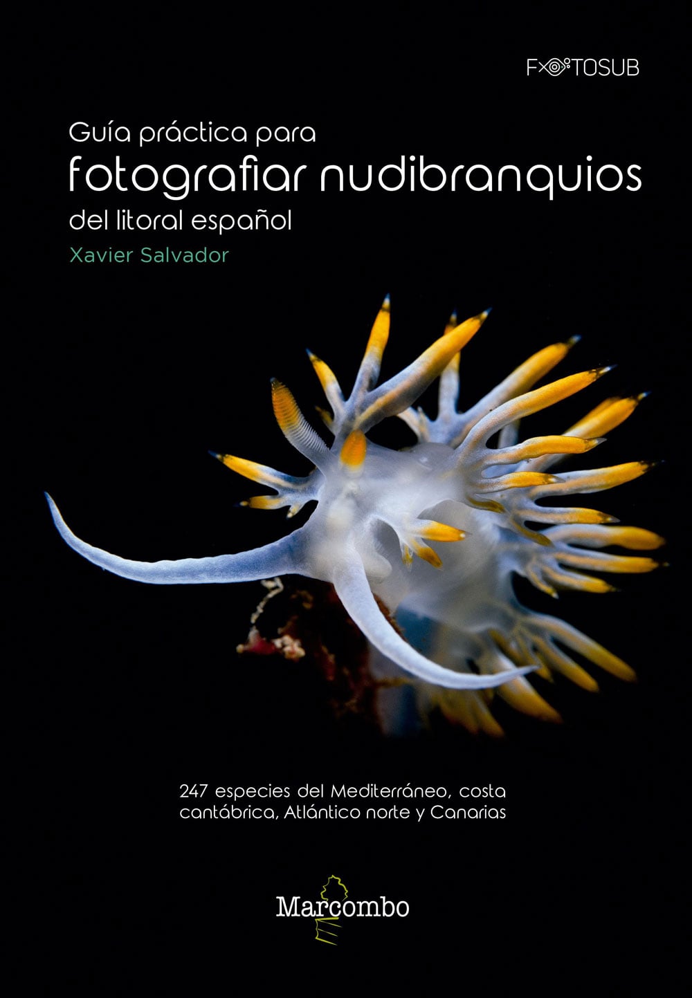guia practica para fotografiar nudibranqios del litoral espanol