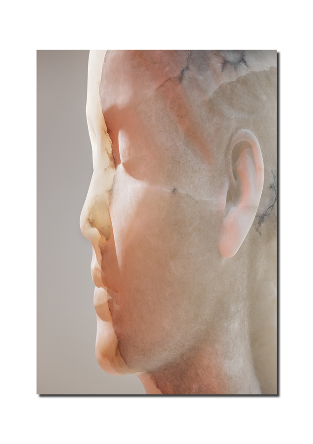 jaume plensa inner matter  materia interior