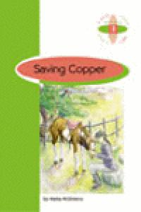saving copper