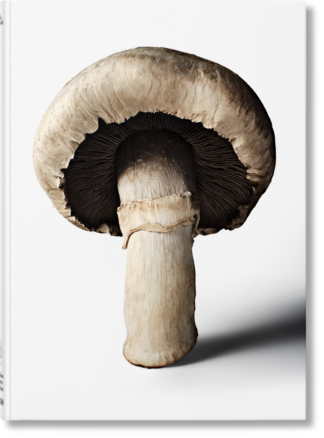 the gourmands mushroom a collection of stories  recipes