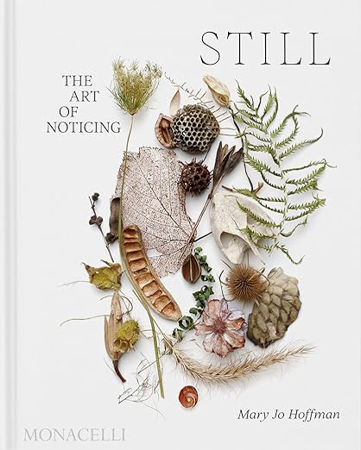 still the art of noticing
