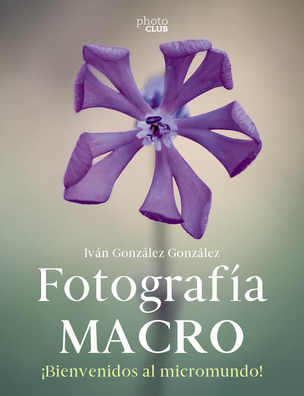 fotografia macro bienvenido al micromundo