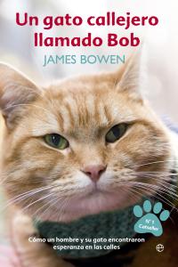 Exclusivo Hacer la vida esclavo Un gato callejero llamado Bob - Abacus Online