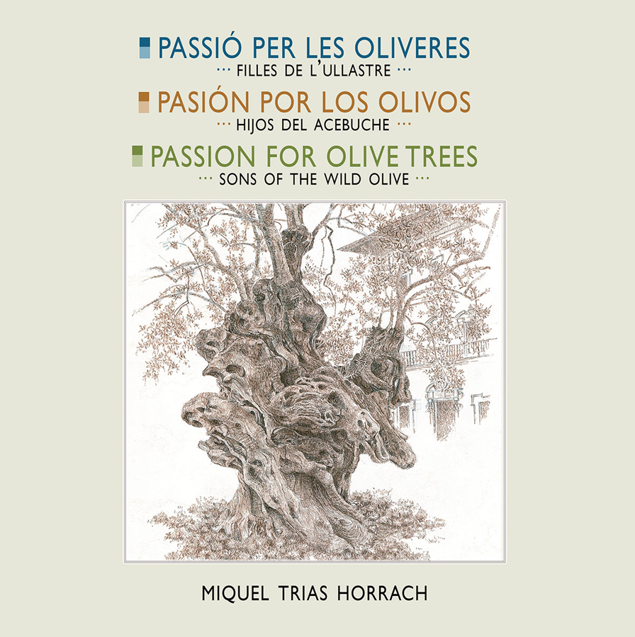 passio per les oliveres  pasion por los olivos  passion for olives trees