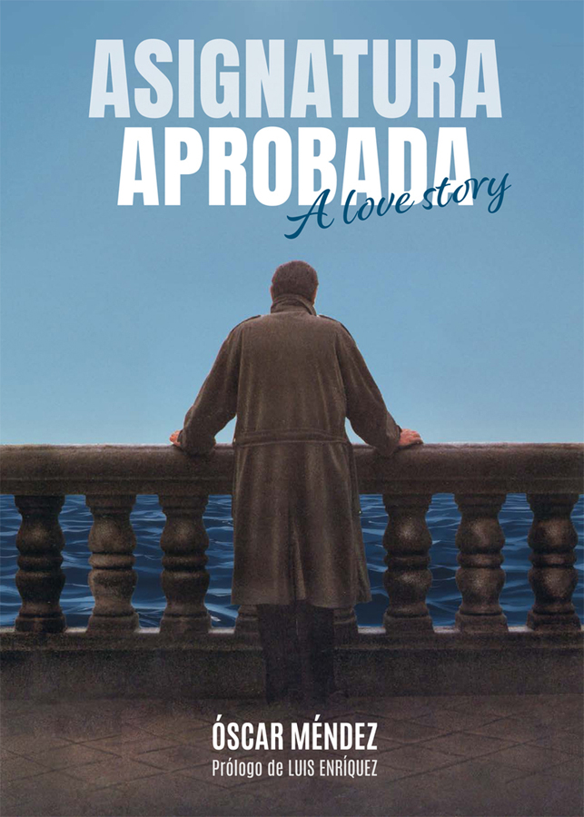 asignatura aprobada a love story