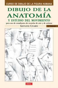 dibujo de la anatomia y estudio del movimiento