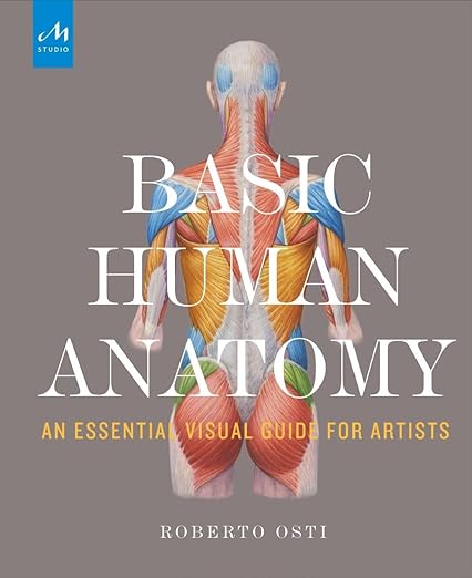 basic human anatomy